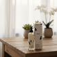 Urapra Glycolic Acid 7% Toning Solution – Exfoliating Toner for Bright & Smooth Skin (100ml)